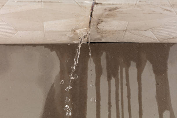 Professional Flood Damage Cleanup technician working in Meridian, CO